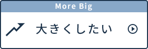 大きくしたい